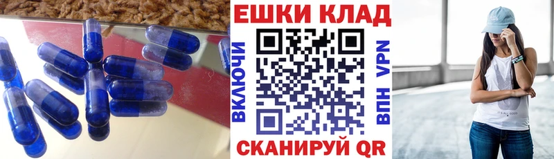 ЭКСТАЗИ Philipp Plein  как найти закладки  Сясьстрой 