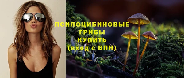 винт Нея